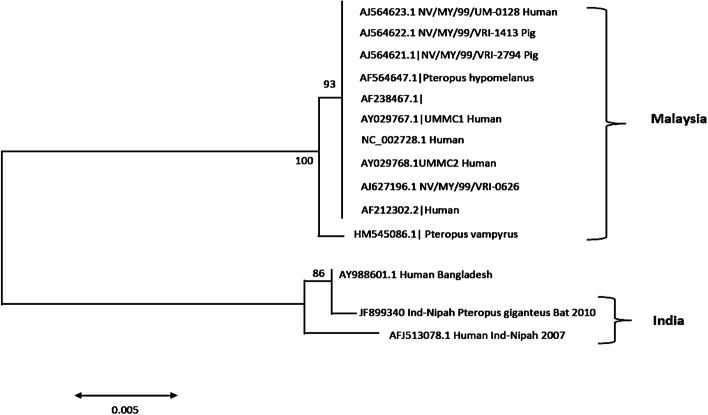 https://cdn.ncbi.nlm.nih.gov/pmc/blobs/8a8d/9869300/ee22cc155444/12010_2022_4300_Fig5_HTML.jpg