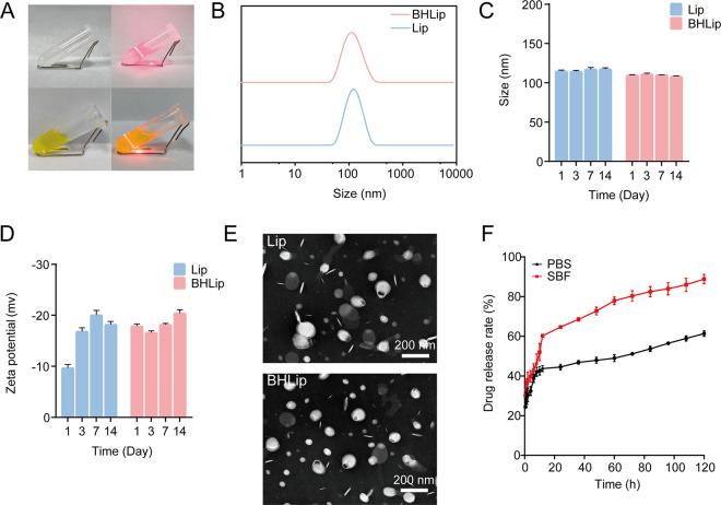 https://cdn.ncbi.nlm.nih.gov/pmc/blobs/8a8f/11866016/29645163f95b/ao4c11198_0001.jpg