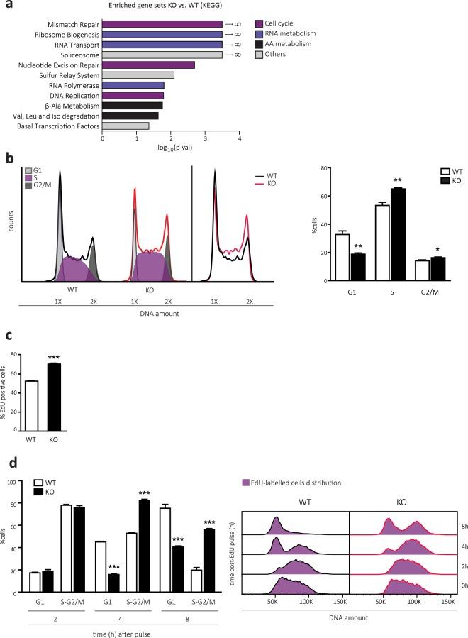 https://cdn.ncbi.nlm.nih.gov/pmc/blobs/8a8f/6773781/50572b394aee/41598_2019_50547_Fig2_HTML.jpg