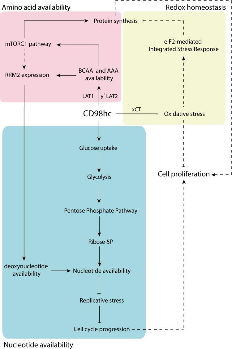 https://cdn.ncbi.nlm.nih.gov/pmc/blobs/8a8f/6773781/7e8f5ccaf69a/41598_2019_50547_Fig6_HTML.jpg