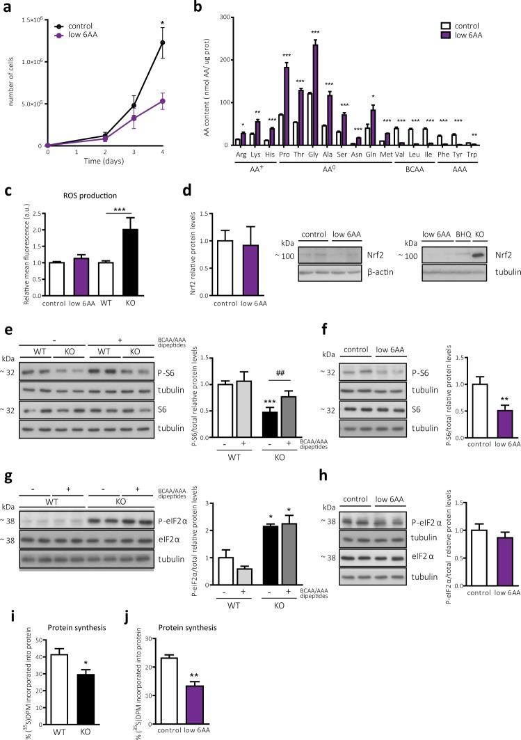 https://cdn.ncbi.nlm.nih.gov/pmc/blobs/8a8f/6773781/aac80a3908d2/41598_2019_50547_Fig1_HTML.jpg