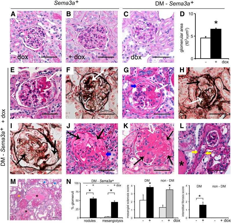 https://cdn.ncbi.nlm.nih.gov/pmc/blobs/8a90/4407856/9553bd9f9180/db140719f3.jpg