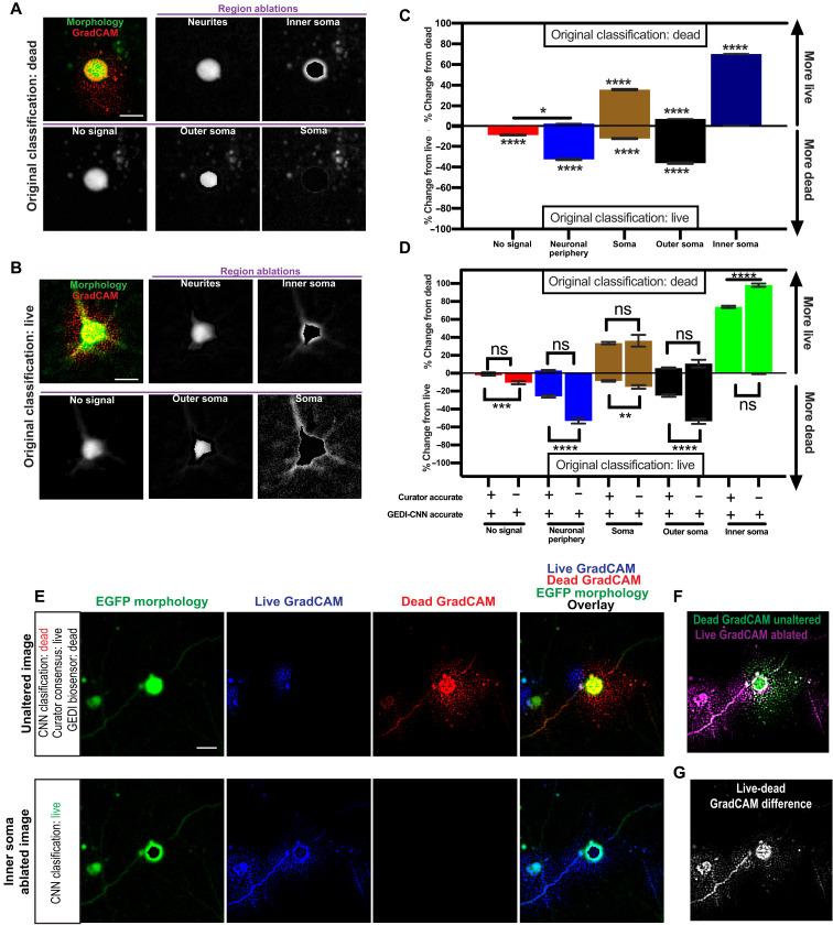 https://cdn.ncbi.nlm.nih.gov/pmc/blobs/8a90/8654296/d567e07393bb/sciadv.abf8142-f6.jpg