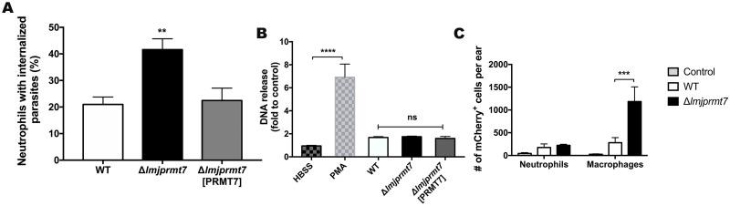 https://cdn.ncbi.nlm.nih.gov/pmc/blobs/8a92/7954300/089b4c0c489b/pntd.0009230.g006.jpg