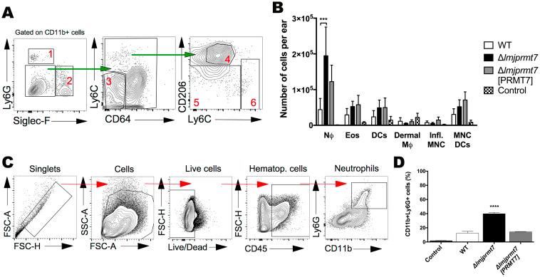https://cdn.ncbi.nlm.nih.gov/pmc/blobs/8a92/7954300/65aaa24f7050/pntd.0009230.g004.jpg