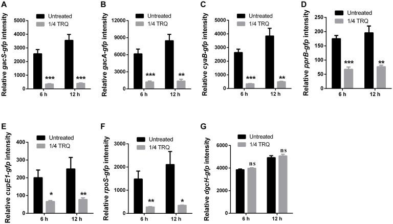 https://cdn.ncbi.nlm.nih.gov/pmc/blobs/8a93/7775676/66088d4426a1/fmicb-11-517462-g006.jpg