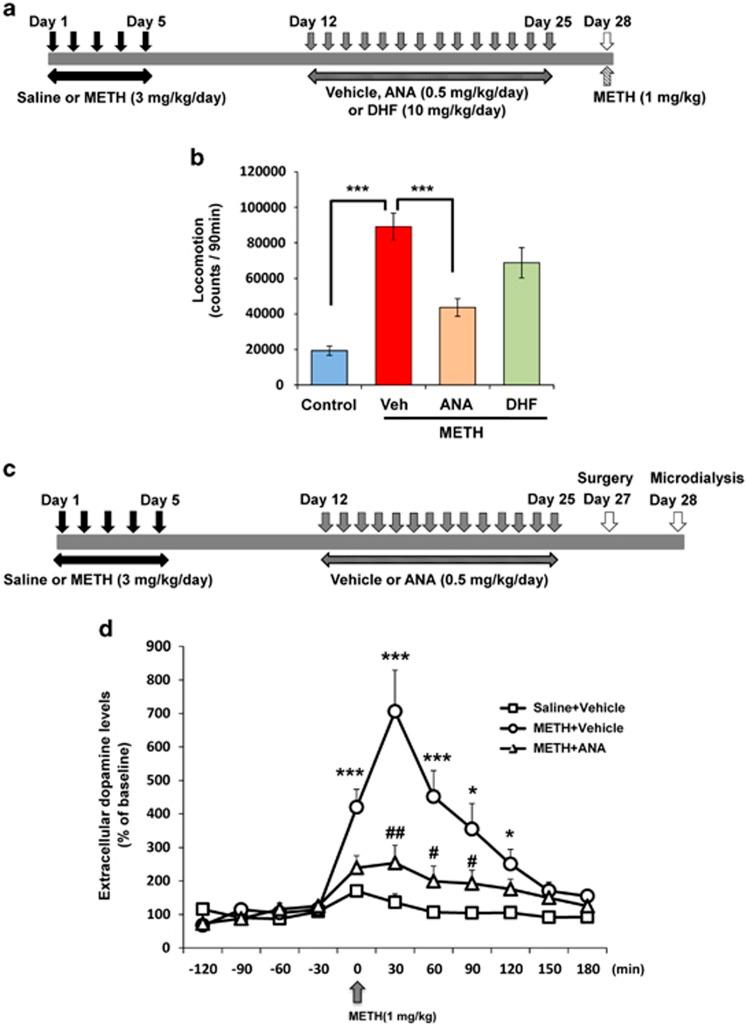 https://cdn.ncbi.nlm.nih.gov/pmc/blobs/8a96/4930133/4abe2df5797a/tp2015157f3.jpg
