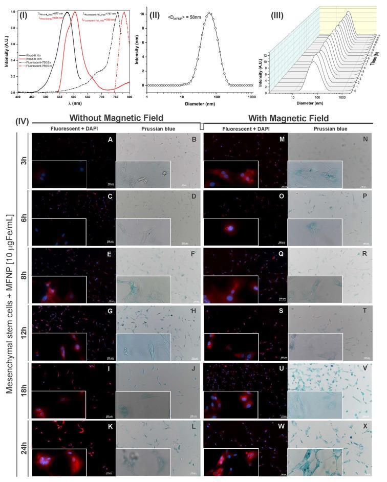 https://cdn.ncbi.nlm.nih.gov/pmc/blobs/8a96/9227698/4959fcabbe66/pharmaceutics-14-01249-g002.jpg