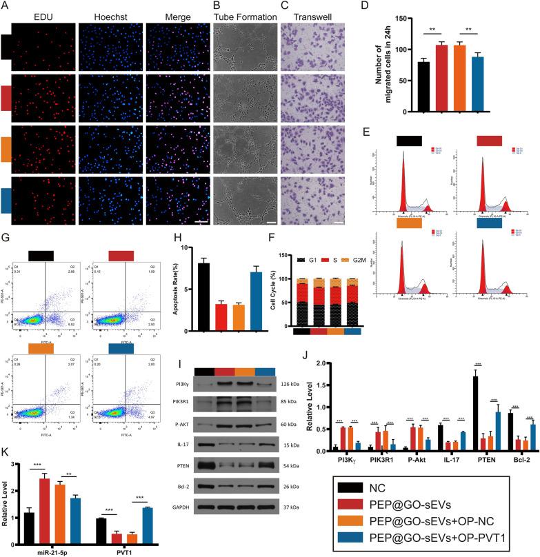 https://cdn.ncbi.nlm.nih.gov/pmc/blobs/8a96/9238182/21e4dc9a4016/12951_2022_1516_Fig7_HTML.jpg