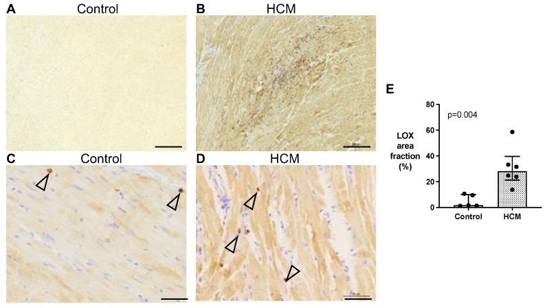 https://cdn.ncbi.nlm.nih.gov/pmc/blobs/8a97/10339868/d4da50f74e75/animals-13-02112-g005.jpg