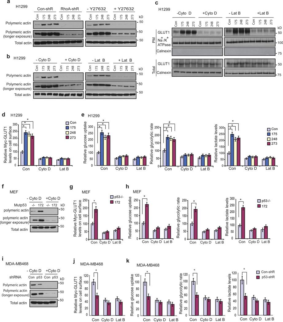 https://cdn.ncbi.nlm.nih.gov/pmc/blobs/8a97/3969270/01a517ab18f4/nihms540681f7.jpg