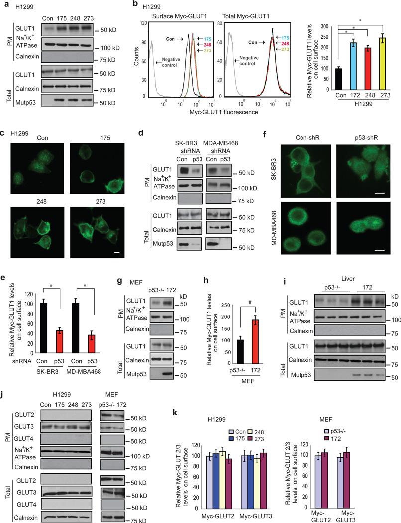 https://cdn.ncbi.nlm.nih.gov/pmc/blobs/8a97/3969270/86cc57344664/nihms540681f3.jpg