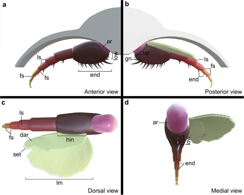 https://cdn.ncbi.nlm.nih.gov/pmc/blobs/8a98/12320380/45dd6a98d5a7/12915_2025_2335_Fig8_HTML.jpg