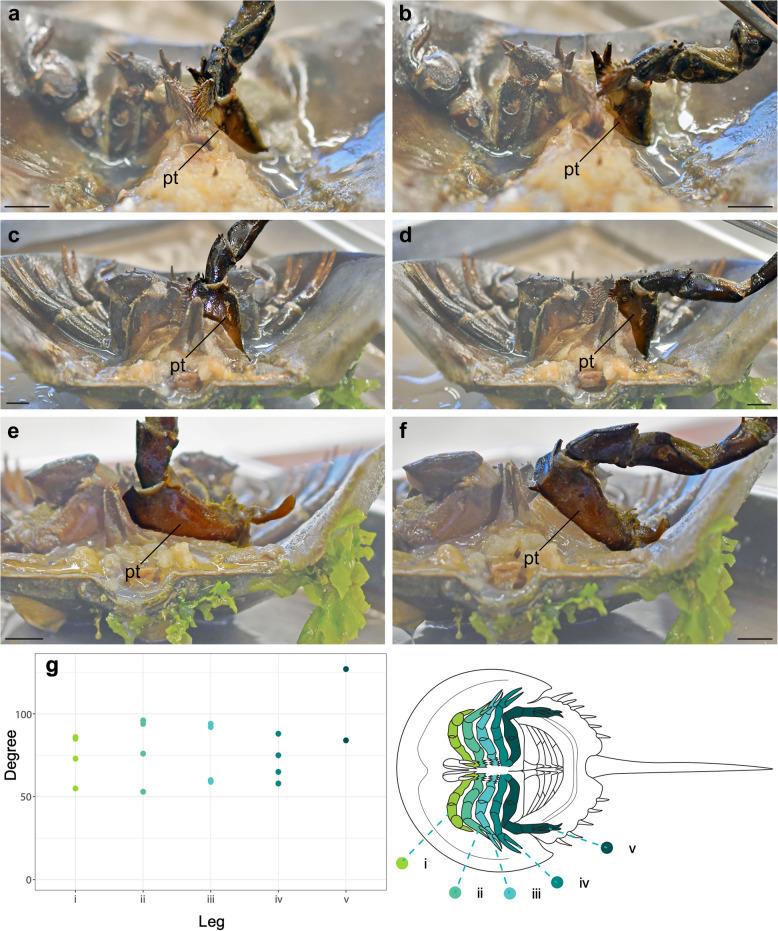 https://cdn.ncbi.nlm.nih.gov/pmc/blobs/8a98/12320380/698d19f8f93a/12915_2025_2335_Fig6_HTML.jpg