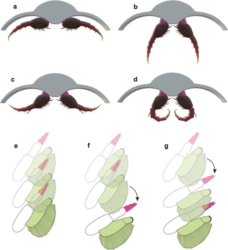 https://cdn.ncbi.nlm.nih.gov/pmc/blobs/8a98/12320380/6f59415459c1/12915_2025_2335_Fig9_HTML.jpg