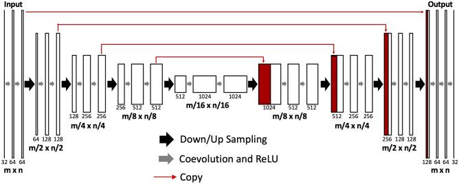 https://cdn.ncbi.nlm.nih.gov/pmc/blobs/8a98/8455741/7c803a4a162e/10278_2021_472_Fig1_HTML.jpg