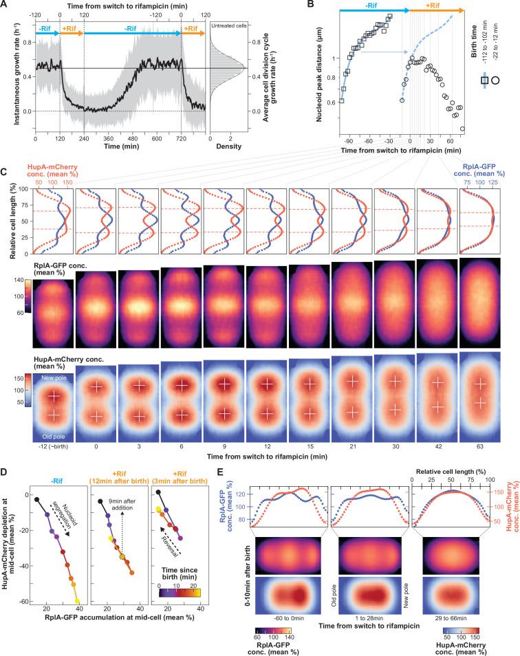 https://cdn.ncbi.nlm.nih.gov/pmc/blobs/8a9a/12187137/233e05174a39/elife-104276-fig6.jpg