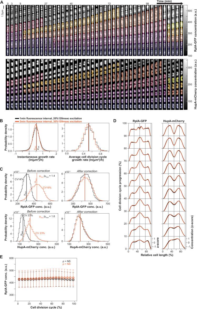 https://cdn.ncbi.nlm.nih.gov/pmc/blobs/8a9a/12187137/7c2b8f9425c7/elife-104276-fig1-figsupp1.jpg