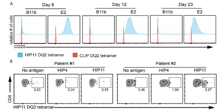 https://cdn.ncbi.nlm.nih.gov/pmc/blobs/8a9d/8185328/d7a8275b341f/fimmu-12-668680-g005.jpg