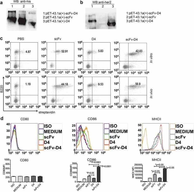 https://cdn.ncbi.nlm.nih.gov/pmc/blobs/8a9f/7185221/2010fd9487c9/koni-09-01-1747688-g001.jpg