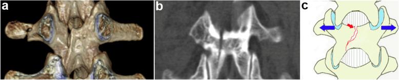 https://cdn.ncbi.nlm.nih.gov/pmc/blobs/8a9f/7988953/54f4ec4e30ef/12891_2021_4178_Fig2_HTML.jpg