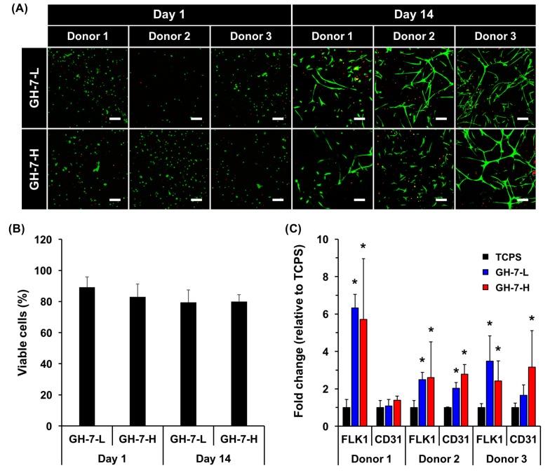 https://cdn.ncbi.nlm.nih.gov/pmc/blobs/8aa0/5578095/1d9ca5c7e9b4/ijms-18-01705-g003.jpg