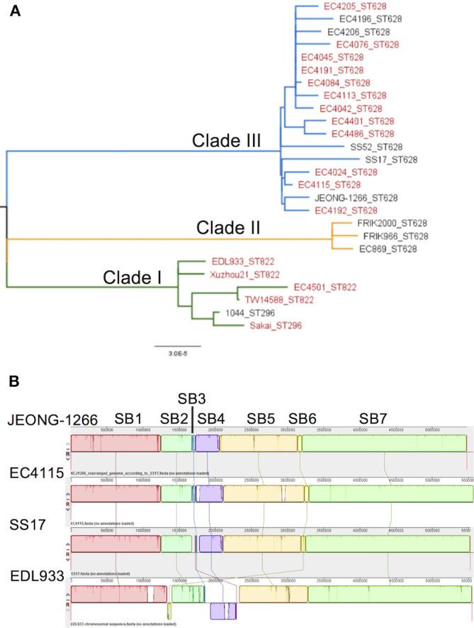 https://cdn.ncbi.nlm.nih.gov/pmc/blobs/8aa0/7289925/77a2c1ca3fa8/fcimb-10-00271-g0002.jpg