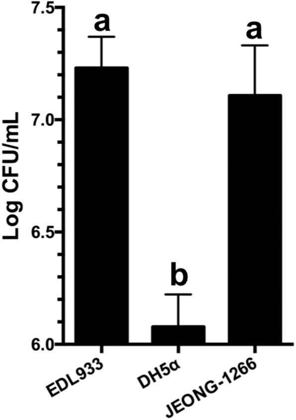https://cdn.ncbi.nlm.nih.gov/pmc/blobs/8aa0/7289925/e8d4c5bc3619/fcimb-10-00271-g0006.jpg