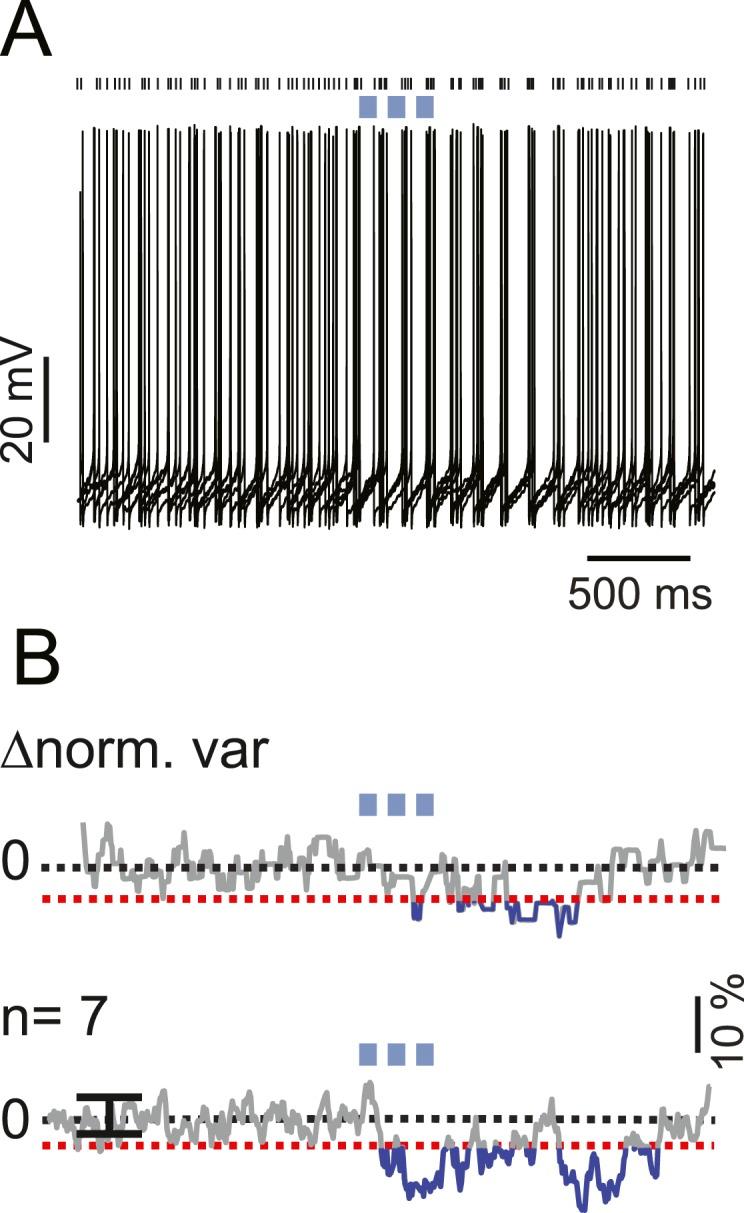 https://cdn.ncbi.nlm.nih.gov/pmc/blobs/8aa6/4461794/ca995118a8f7/elife06262fs002.jpg