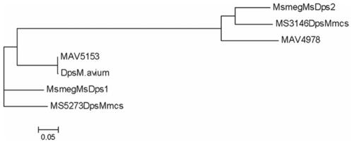https://cdn.ncbi.nlm.nih.gov/pmc/blobs/8aa7/2779847/36ff918742e7/pone.0008017.g008.jpg