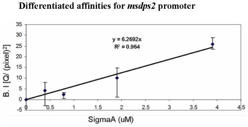 https://cdn.ncbi.nlm.nih.gov/pmc/blobs/8aa7/2779847/a8fa2120757c/pone.0008017.g006.jpg
