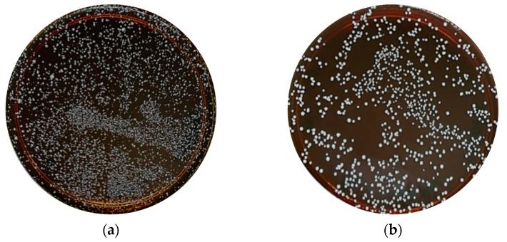https://cdn.ncbi.nlm.nih.gov/pmc/blobs/8aa7/6680525/00809e96eff9/molecules-24-02606-g001.jpg