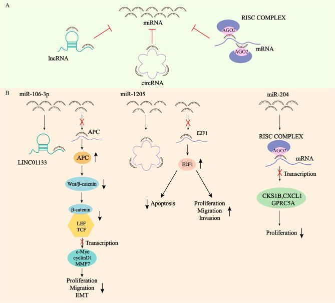 https://cdn.ncbi.nlm.nih.gov/pmc/blobs/8aa8/8826423/01a887a33ec2/fonc-11-822745-g001.jpg