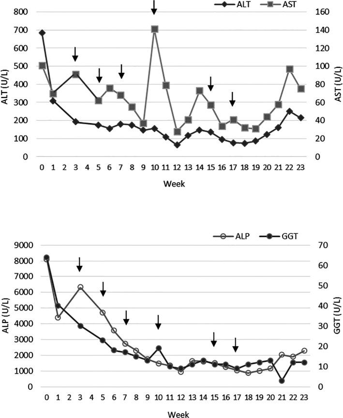 https://cdn.ncbi.nlm.nih.gov/pmc/blobs/8aa9/5598886/2e66eff33d1c/JVIM-31-1514-g002.jpg