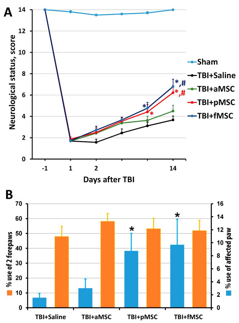 https://cdn.ncbi.nlm.nih.gov/pmc/blobs/8aaa/8223980/1316414c82d3/cells-10-01273-g002.jpg