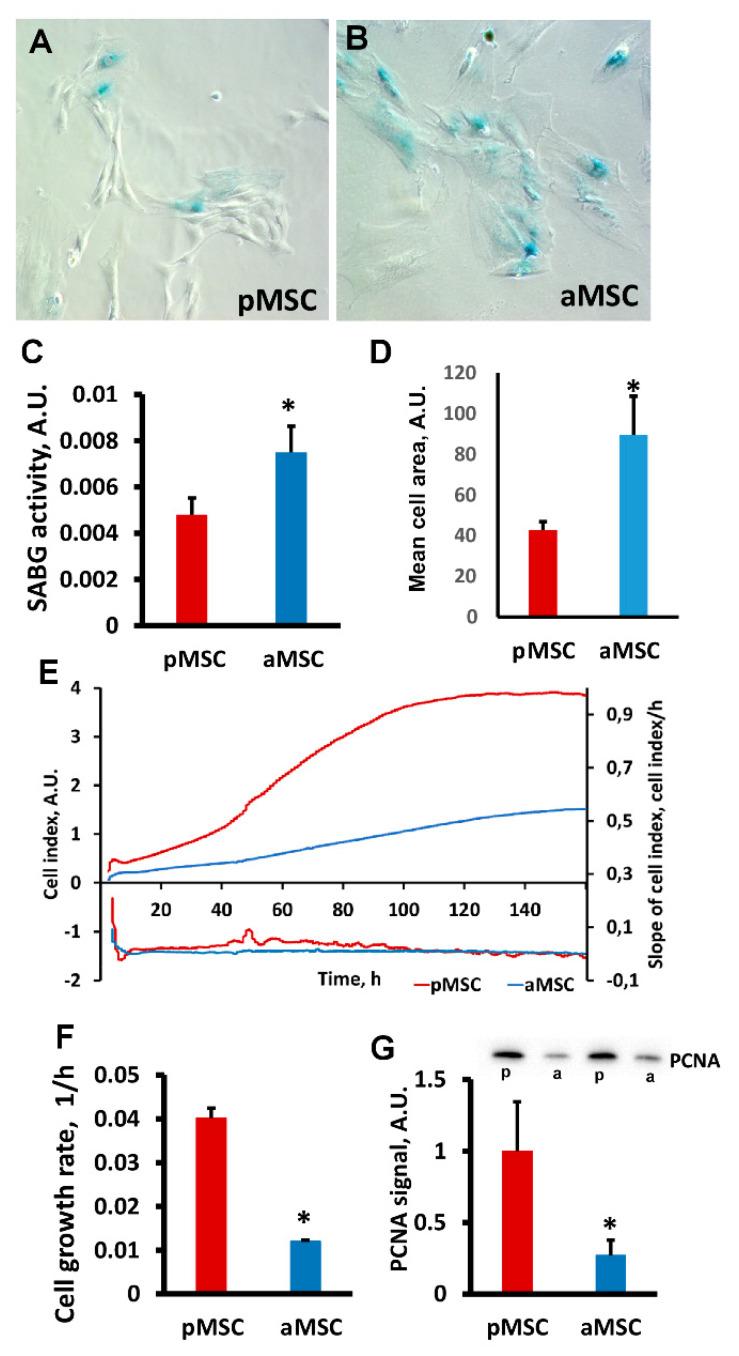 https://cdn.ncbi.nlm.nih.gov/pmc/blobs/8aaa/8223980/ad32a5a5010a/cells-10-01273-g003.jpg