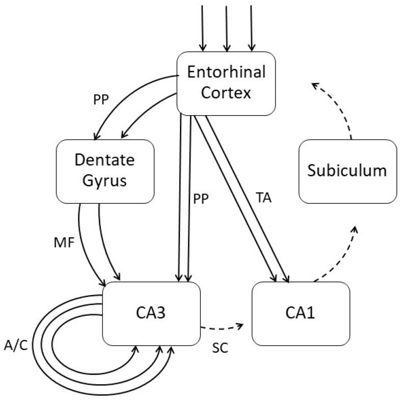 https://cdn.ncbi.nlm.nih.gov/pmc/blobs/8aab/11767542/1295385f7613/neurolint-17-00008-g001.jpg