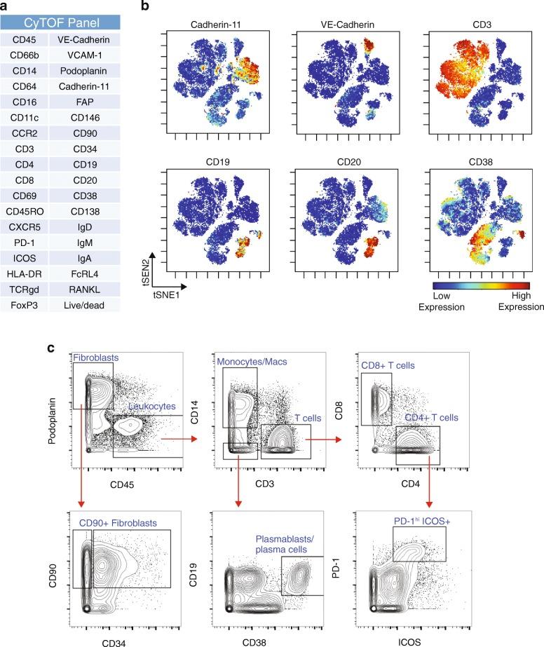 https://cdn.ncbi.nlm.nih.gov/pmc/blobs/8aab/6042350/55fda536836f/13075_2018_1631_Fig4_HTML.jpg
