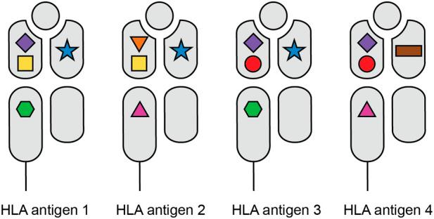 https://cdn.ncbi.nlm.nih.gov/pmc/blobs/8aac/12381591/d4bb5bbe6506/ti-38-14716-g001.jpg