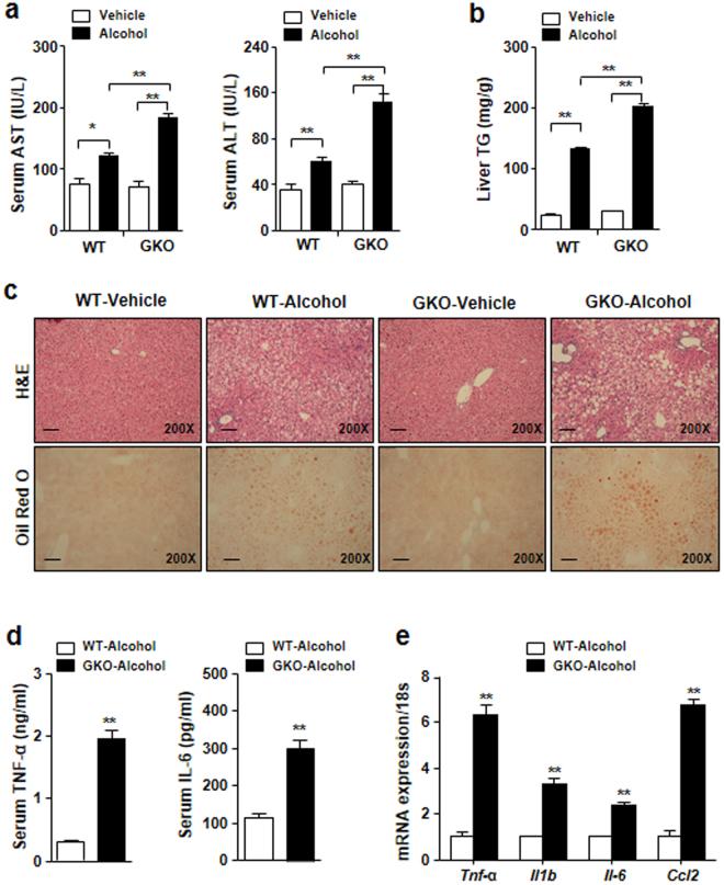 https://cdn.ncbi.nlm.nih.gov/pmc/blobs/8aad/5722931/d52c357a356d/41598_2017_17574_Fig3_HTML.jpg
