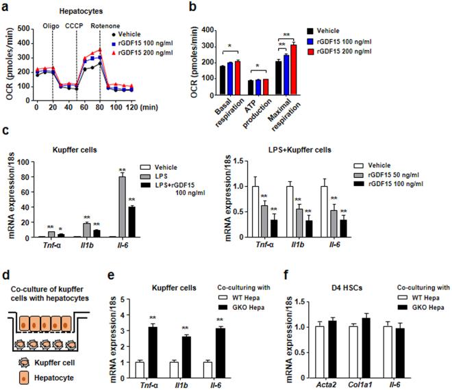 https://cdn.ncbi.nlm.nih.gov/pmc/blobs/8aad/5722931/ef346ce6254a/41598_2017_17574_Fig2_HTML.jpg