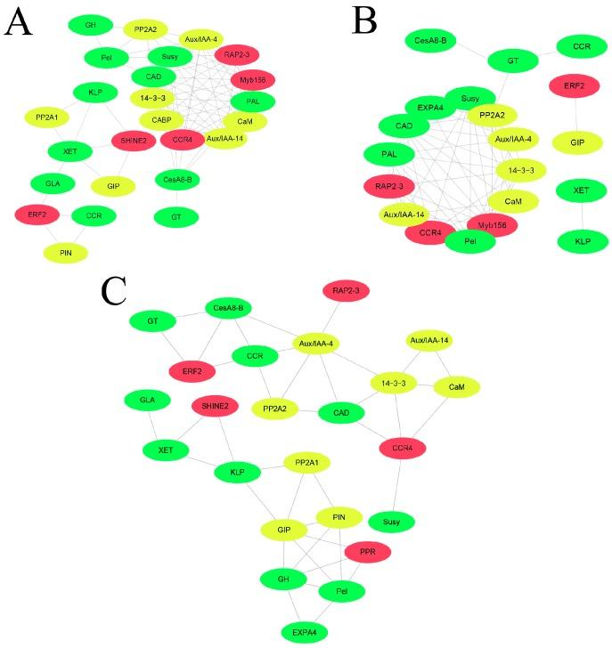 https://cdn.ncbi.nlm.nih.gov/pmc/blobs/8aad/6387376/0cc88c0553f6/ijms-20-00792-g004.jpg