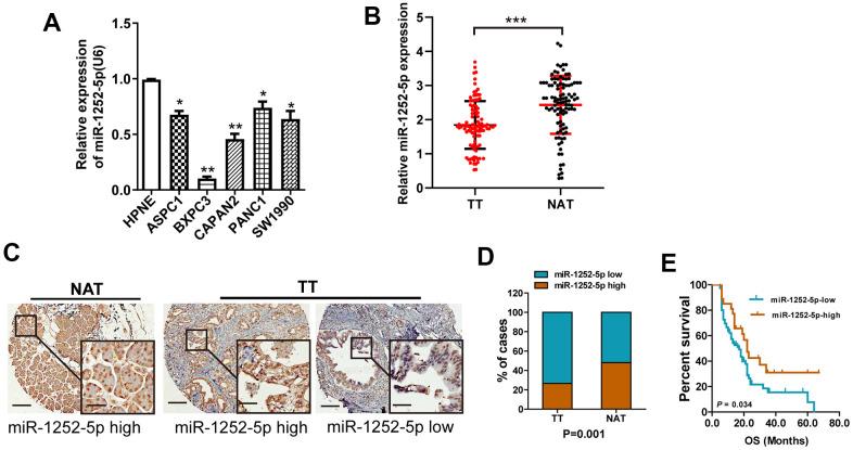 https://cdn.ncbi.nlm.nih.gov/pmc/blobs/8aae/8351675/d50023824923/aging-13-203344-g001.jpg