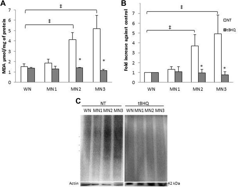 https://cdn.ncbi.nlm.nih.gov/pmc/blobs/8ab0/6156215/0ad0fb329090/10.1177_1559325818796304-fig2.jpg