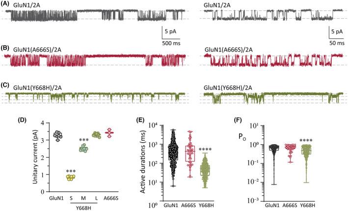 https://cdn.ncbi.nlm.nih.gov/pmc/blobs/8ab1/10952597/c6f760a10de4/EPI-64-3377-g004.jpg