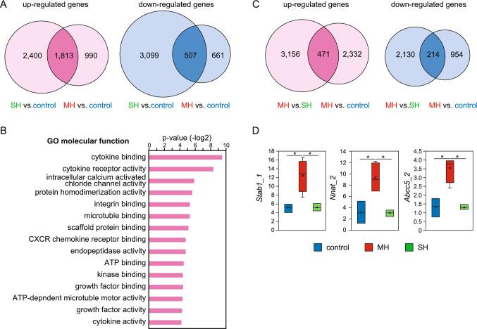 https://cdn.ncbi.nlm.nih.gov/pmc/blobs/8ab1/8222387/3b86aece53c8/41598_2021_92756_Fig2_HTML.jpg