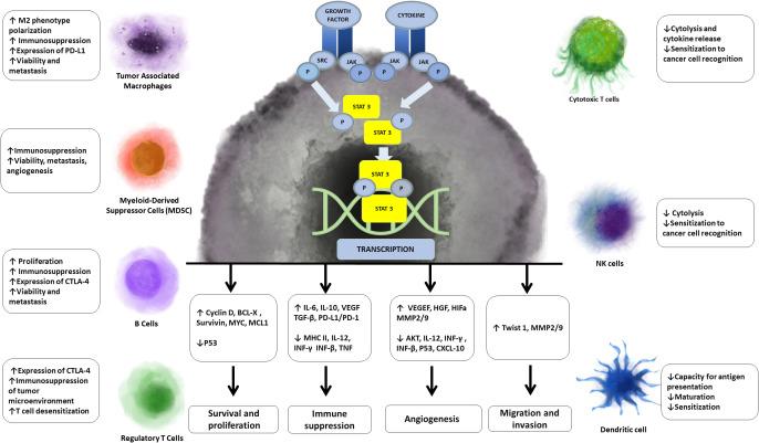 https://cdn.ncbi.nlm.nih.gov/pmc/blobs/8ab1/9868674/390dde464623/fimmu-13-1070367-g003.jpg