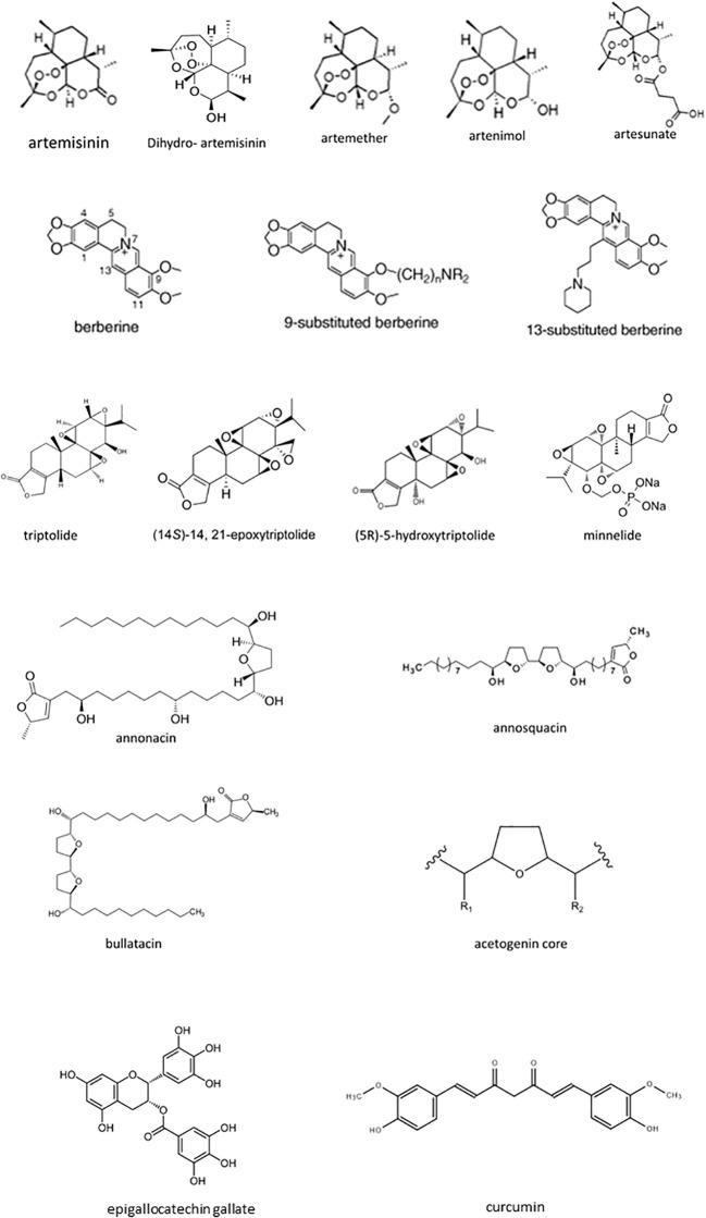 https://cdn.ncbi.nlm.nih.gov/pmc/blobs/8ab1/9868674/f454b465aa16/fimmu-13-1070367-g005.jpg