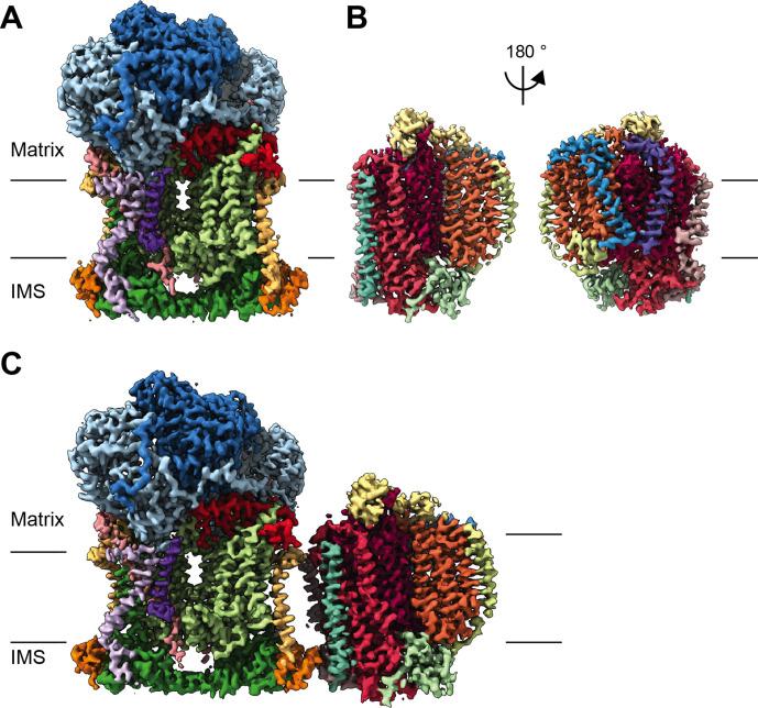 https://cdn.ncbi.nlm.nih.gov/pmc/blobs/8ab2/7815315/3728aed1ddc7/elife-62047-fig1.jpg