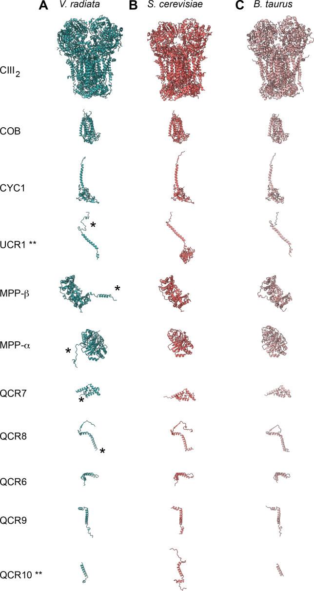 https://cdn.ncbi.nlm.nih.gov/pmc/blobs/8ab2/7815315/50177117a112/elife-62047-fig2-figsupp1.jpg